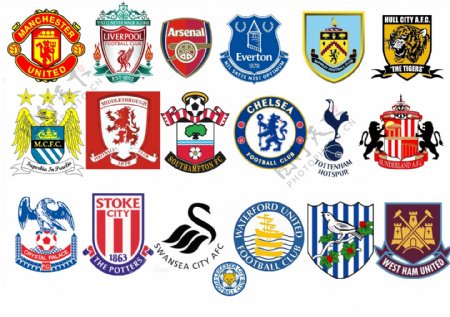 专业的教练 专业的教练